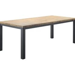 Hot Pronto Wonen Eettafel Atrio 220x100 cm rechthoekig