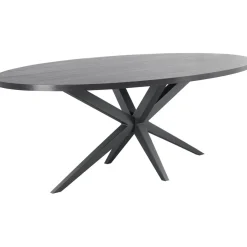 Online Pronto Wonen Eettafel Mascaro 220x120 cm ovaal zwart