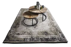 Discount Pronto Wonen Karpet Agello 200x290 earth