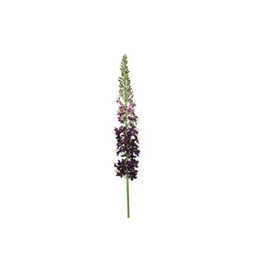 New Pronto Wonen Kunstbloem Abriolia eremurus S paars