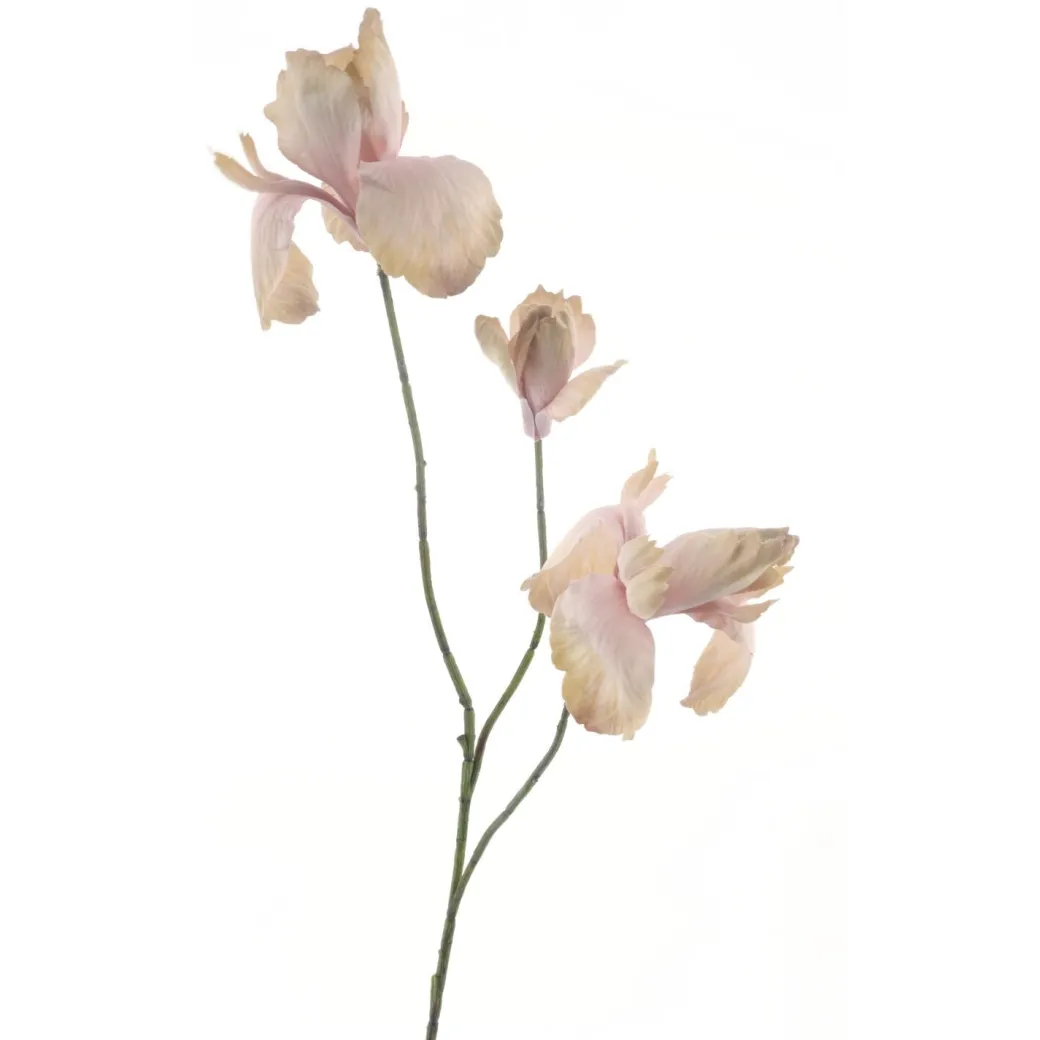 Best Pronto Wonen Kunstbloem Varenzo herfst iris roze