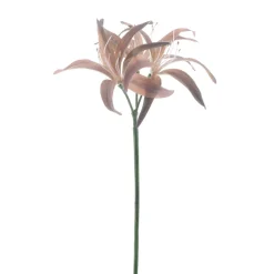 Sale Pronto Wonen Kunstbloem Varenzo hoya lelie bruin