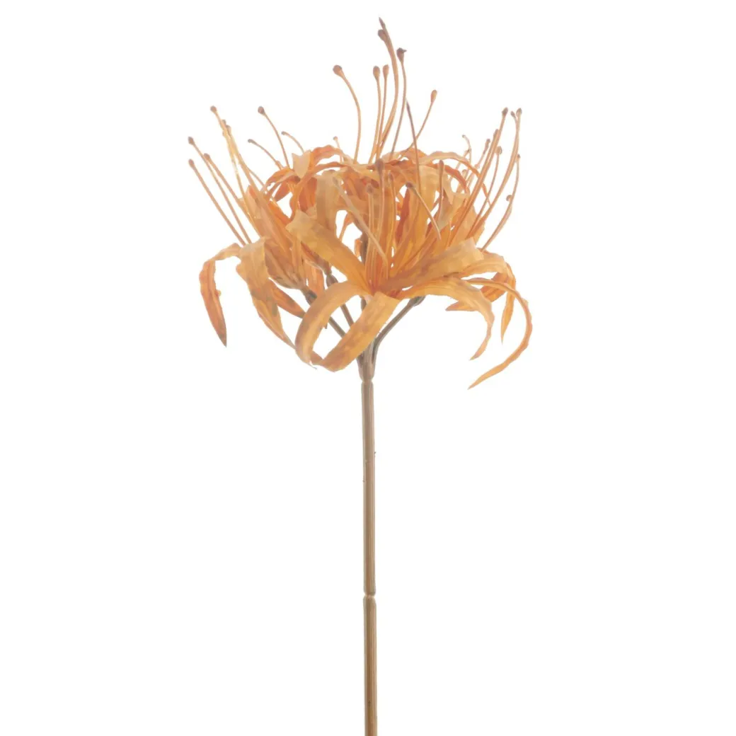 Best Pronto Wonen Kunstbloem Varenzo nerine L bruin
