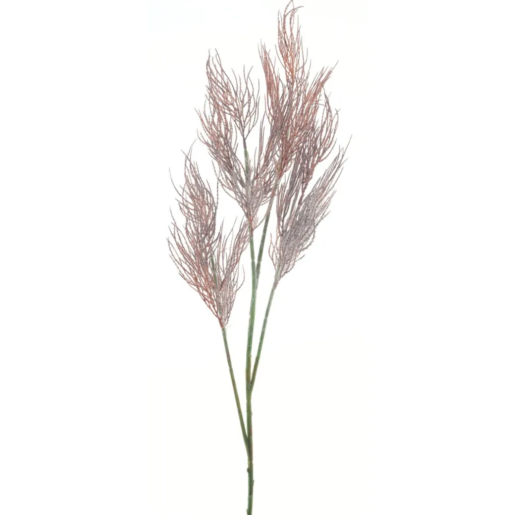 Clearance Pronto Wonen Kunsttak Varenzo fern bruin