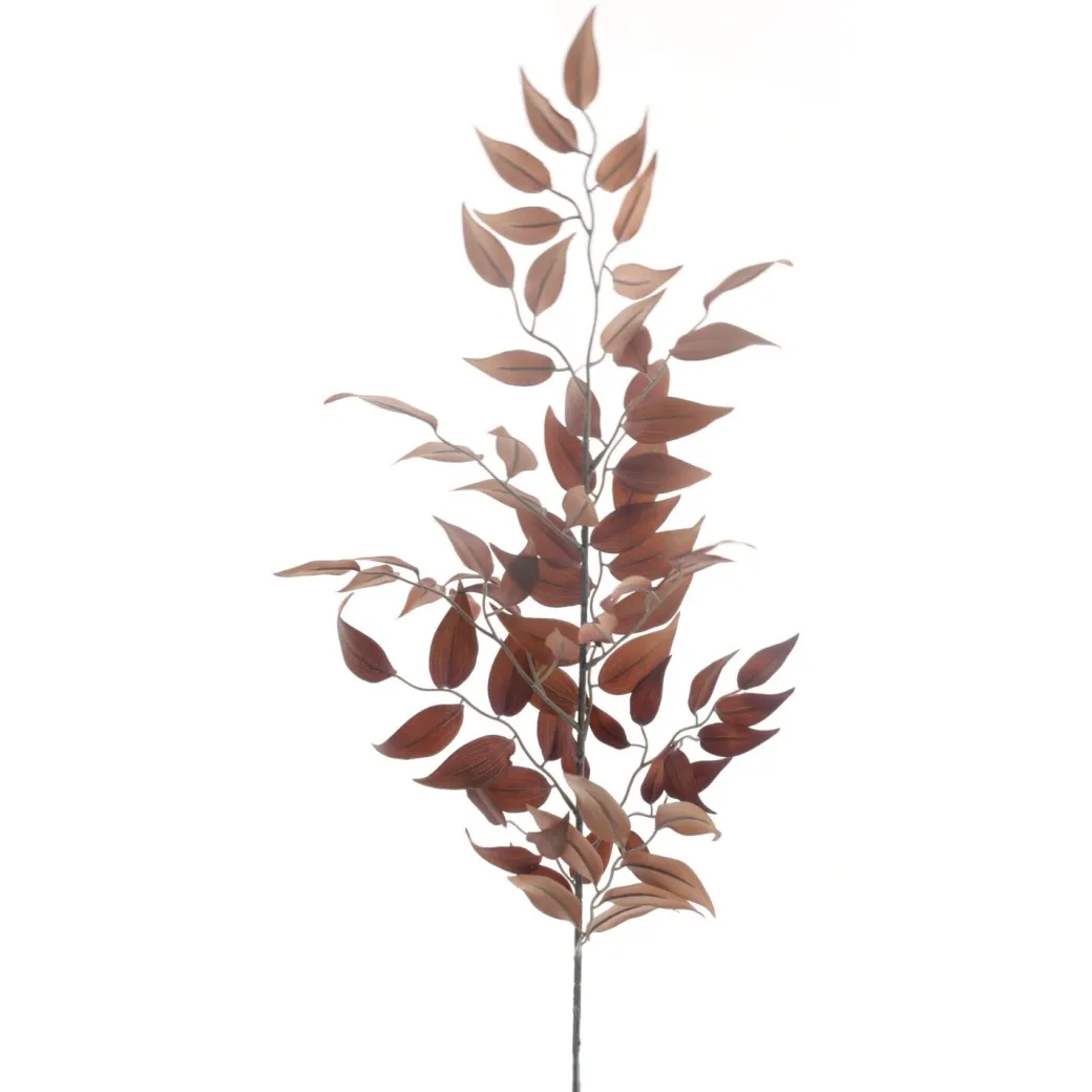 Sale Pronto Wonen Kunsttak Varenzo ruscus blad bruin