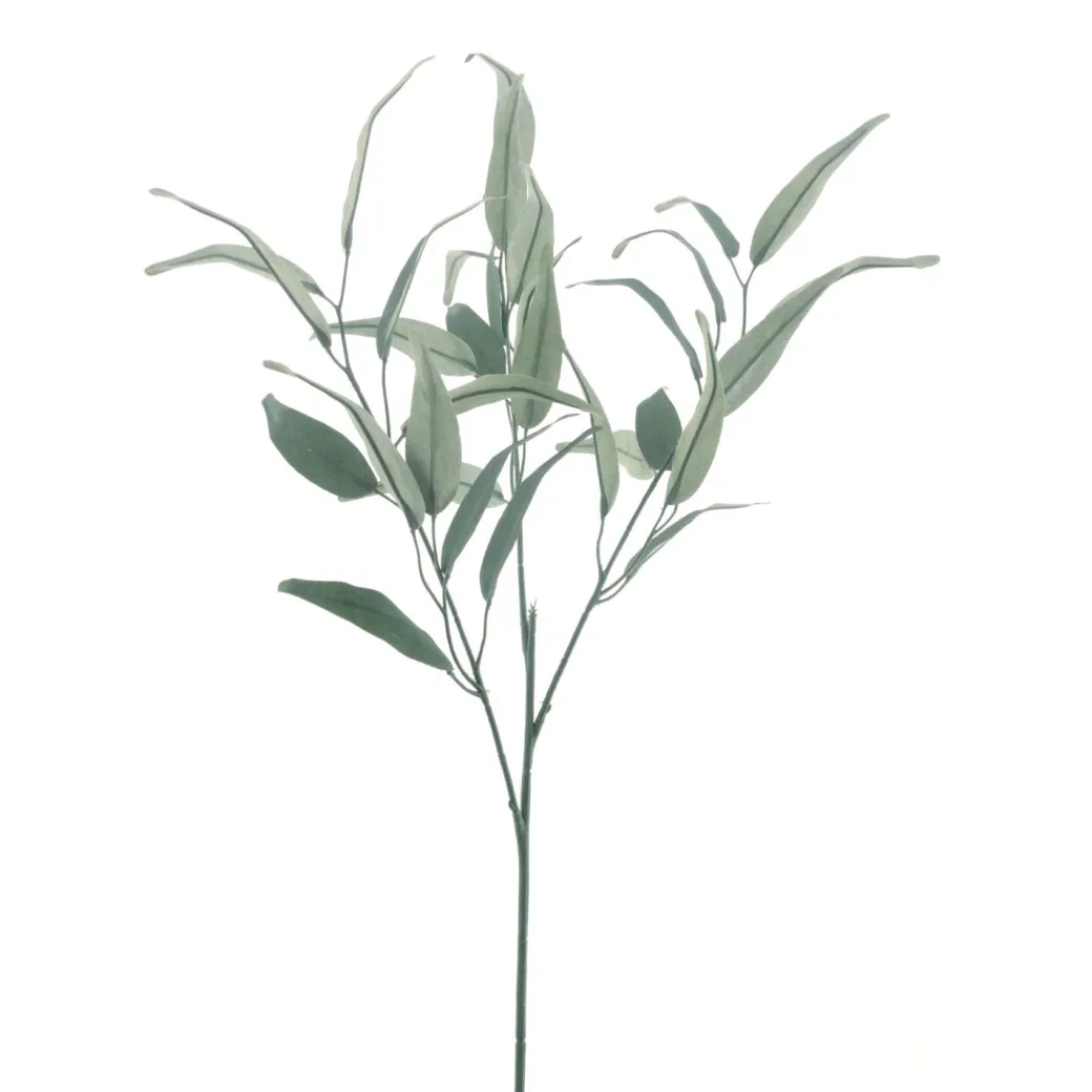 Best Pronto Wonen Kunsttak Varenzo wilg eucalyptus groen